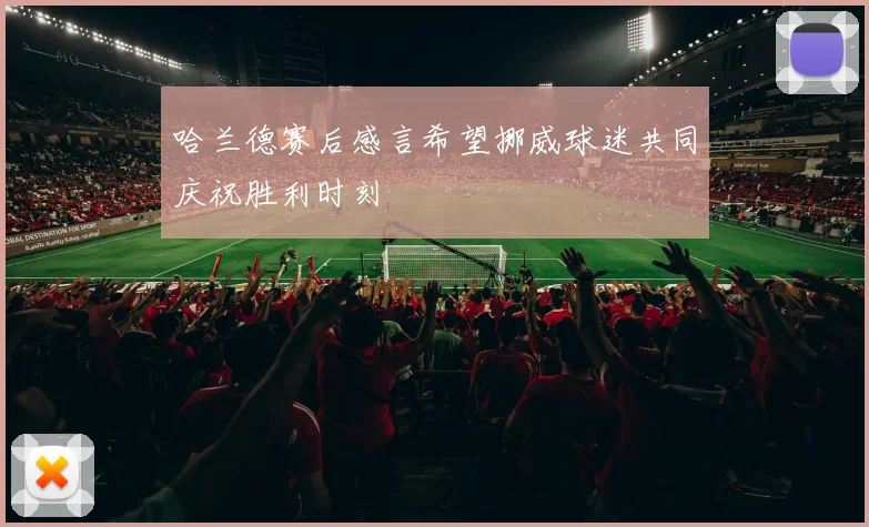 哈兰德赛后感言希望挪威球迷共同庆祝胜利时刻